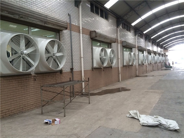 ؓ���L�C����